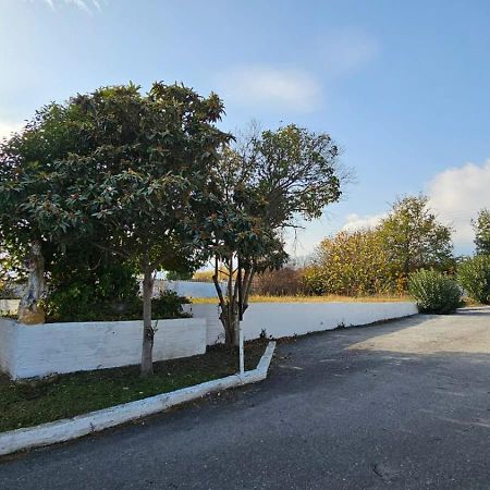 Great Alexander Hotel Litochoron Bagian luar foto