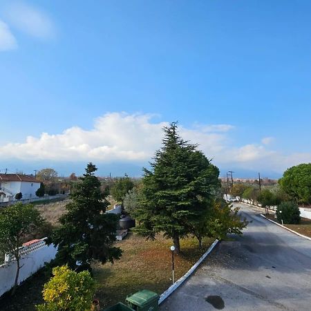 Great Alexander Hotel Litochoron Bagian luar foto